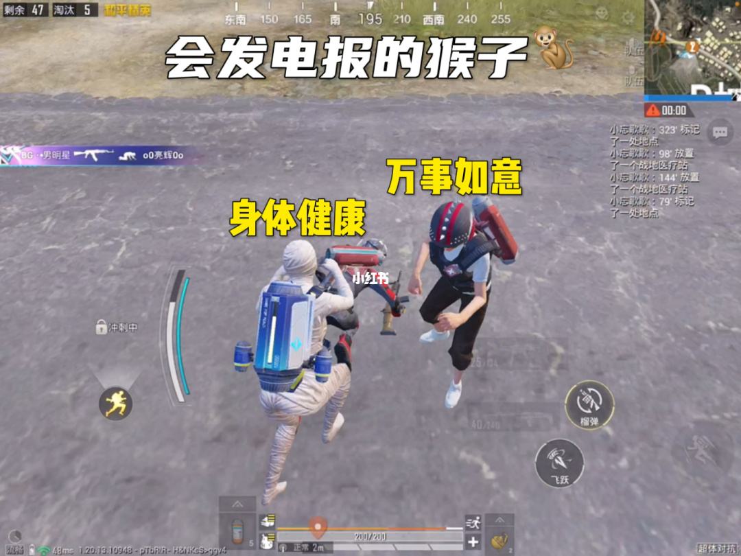 电报猴哥盒_电报猴王原视频