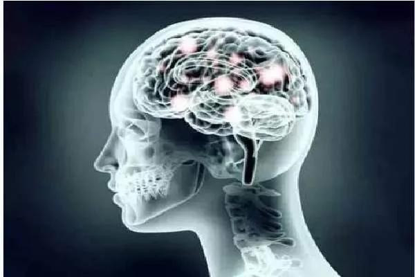 电报性语言是小脑_电报式语言的特征是什么基本上是由实词构成的简单句