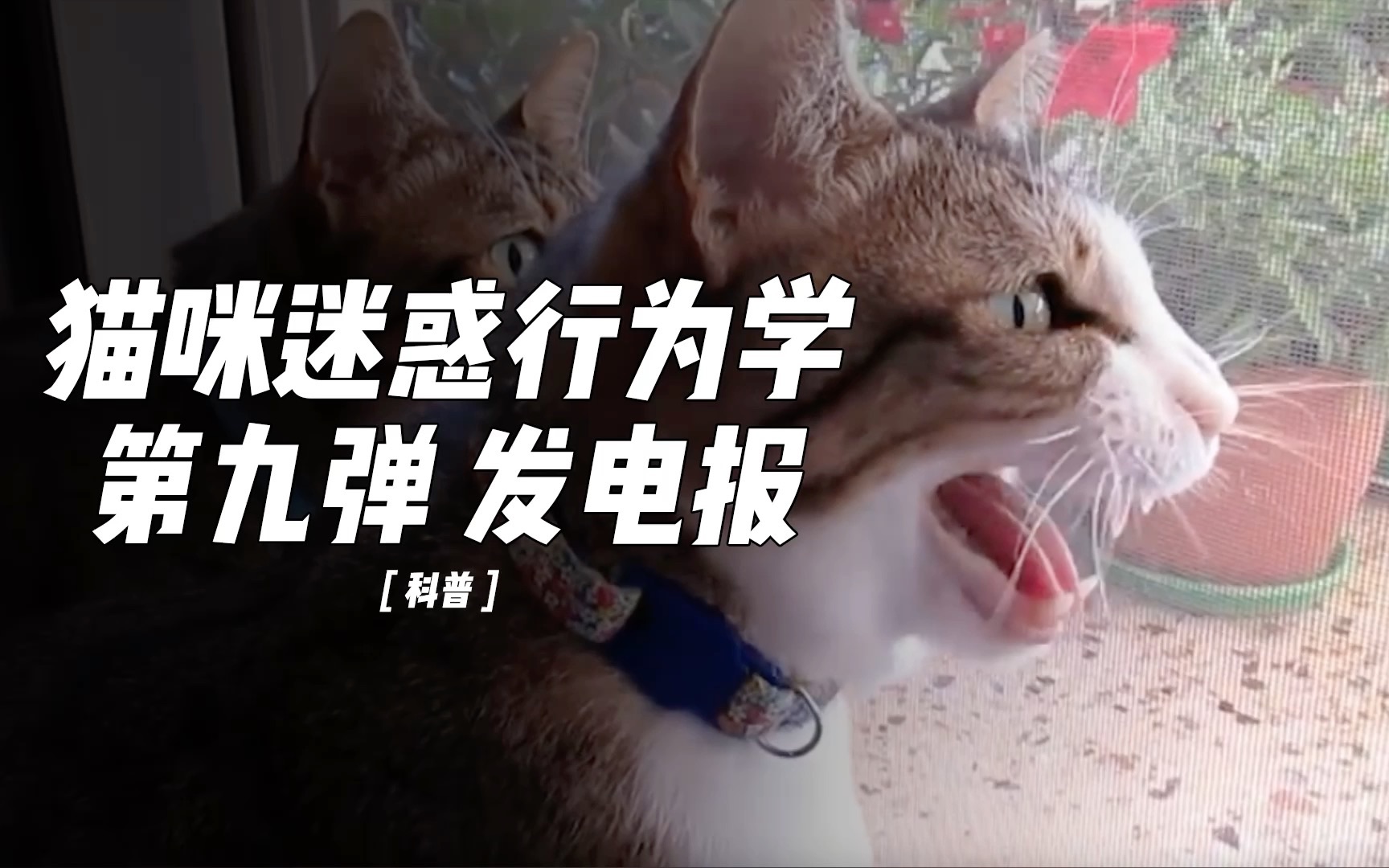 电报发出的声音_电报听到的是什么
