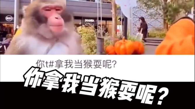 电报猴无消音原声_电报猴原视频没有电音