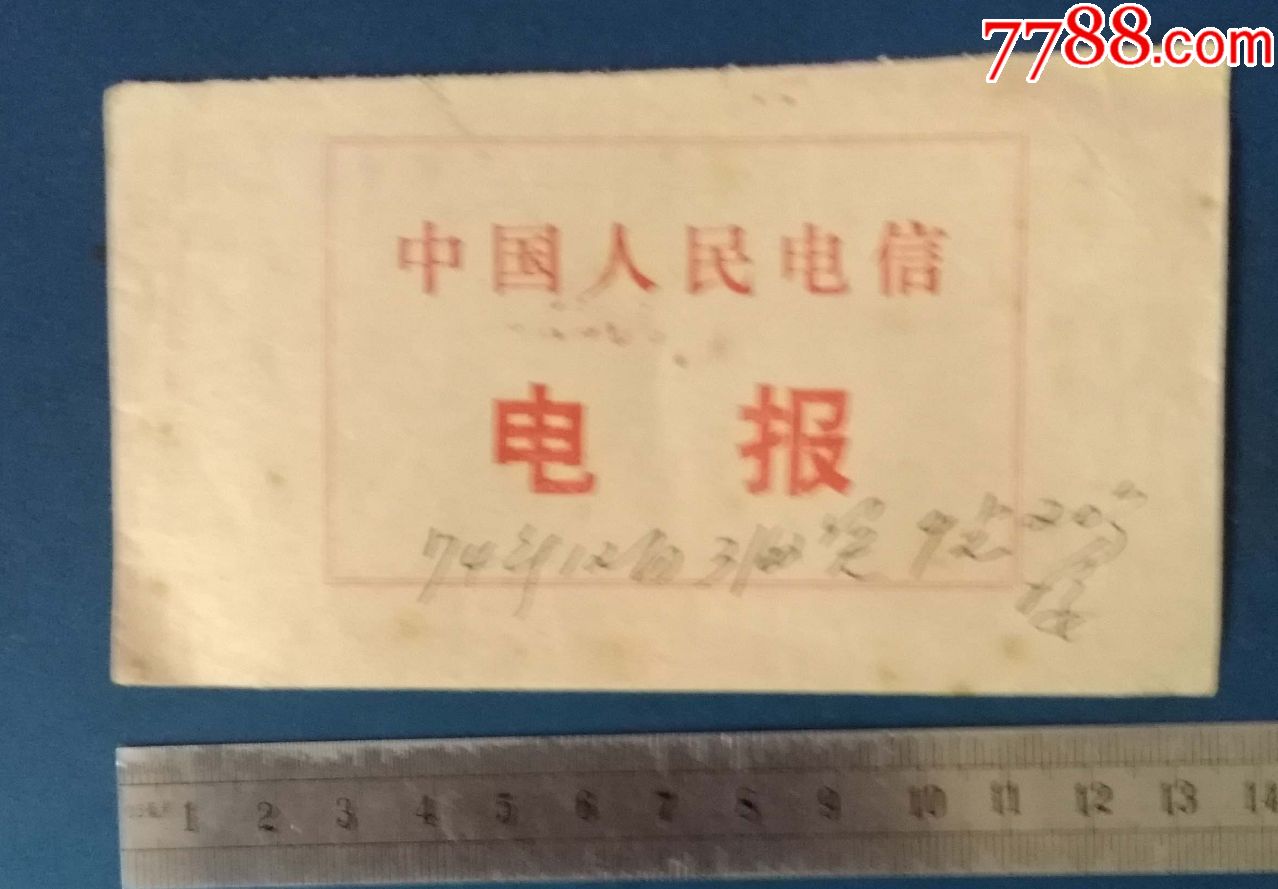 电报猴无消音视频_花果山电报猴无消音视频