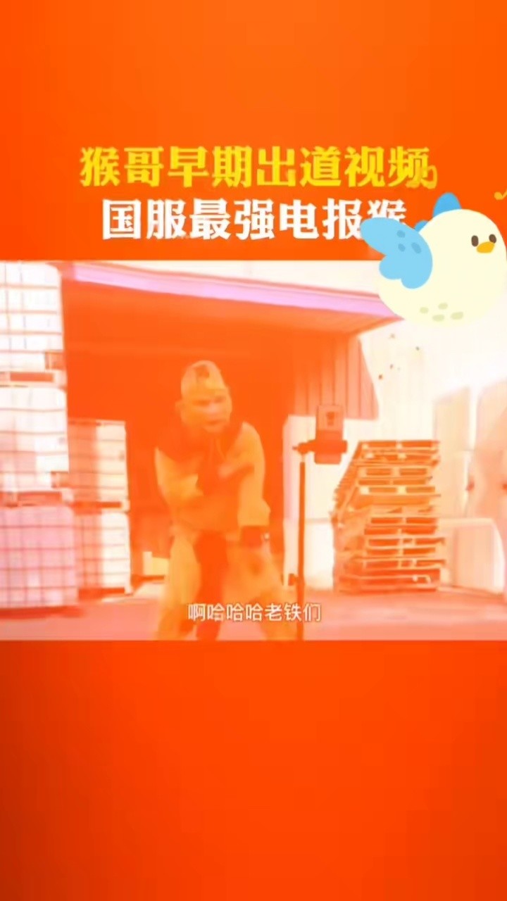 电报猴子盒_(一顿电报输出_电报猴子盒_一顿电报输出