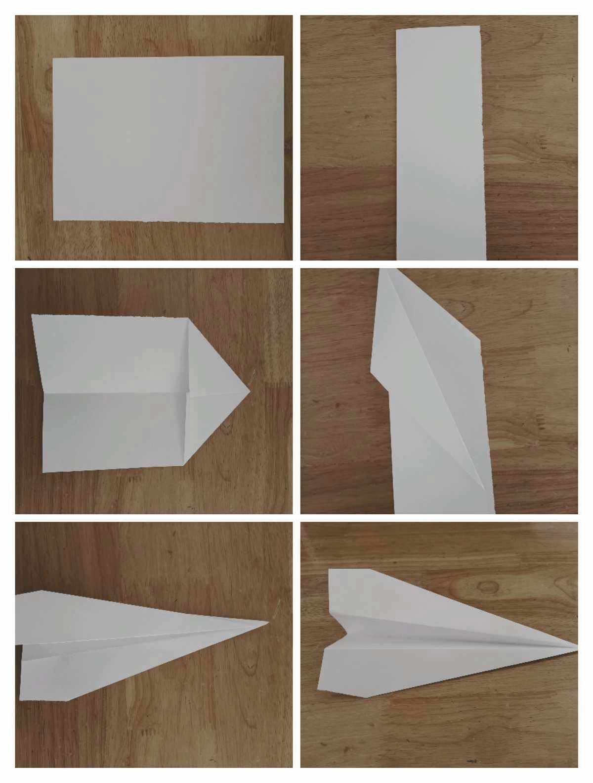 纸飞机简体中文版_纸飞机中文版elegram