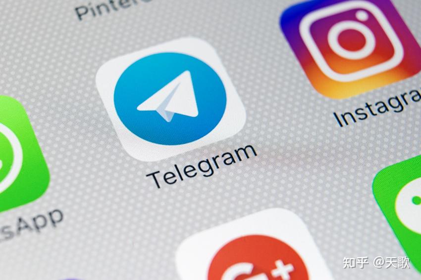 包含电报App图标的词条