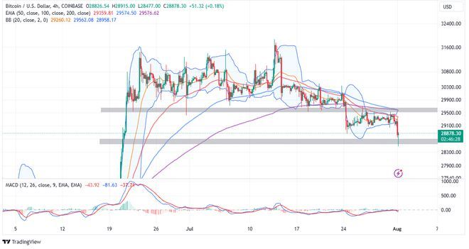 小狐狸支持btc吗_小狐狸钱包添加btc