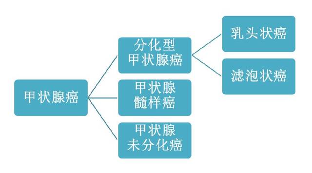 甲癌TG多少预示复发_甲癌tsh应保持到多少