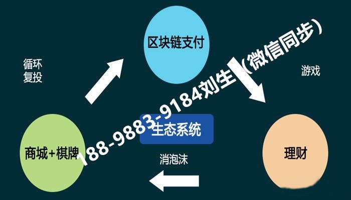 usdt收款api_USDT收款码在哪里