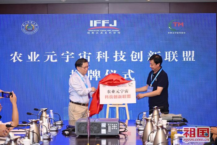 逸尚联合投资元宇宙最新_逸尚联合投资元宇宙最新季董