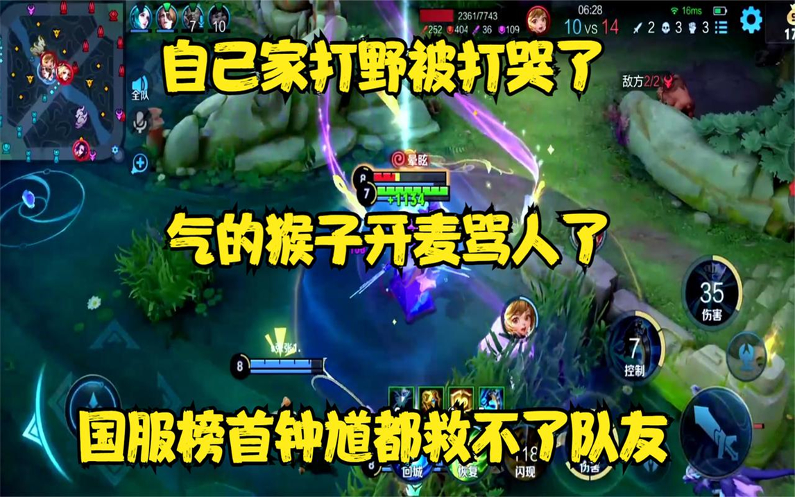 猴子骂人打电报原视频的简单介绍