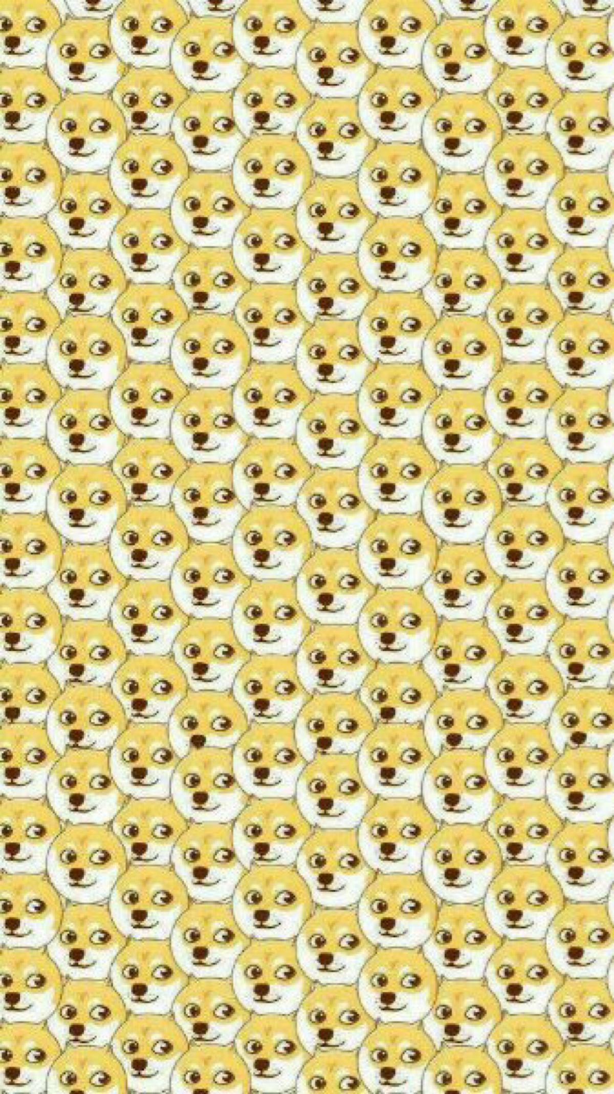 doge_doge在聊天中什么意思