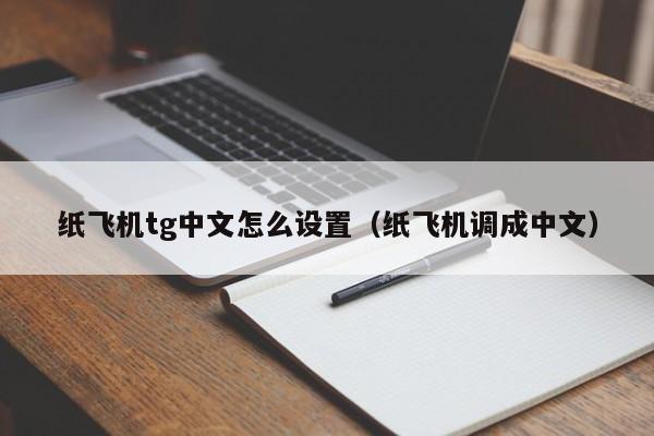 苹果纸飞机中文版_苹果纸飞机中文版怎么设置