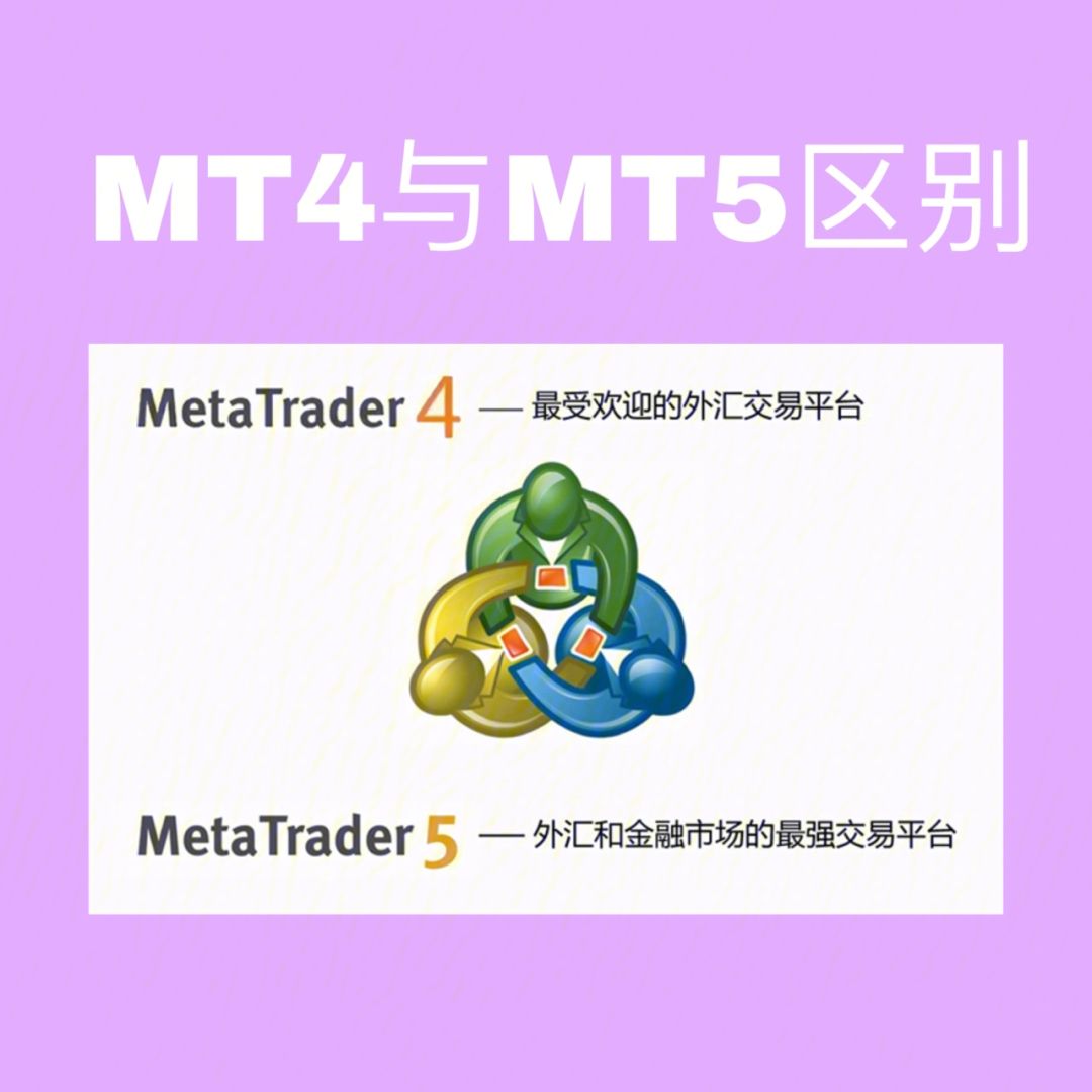 mt5外汇平台官网下载_mt5外汇平台官网最新下载