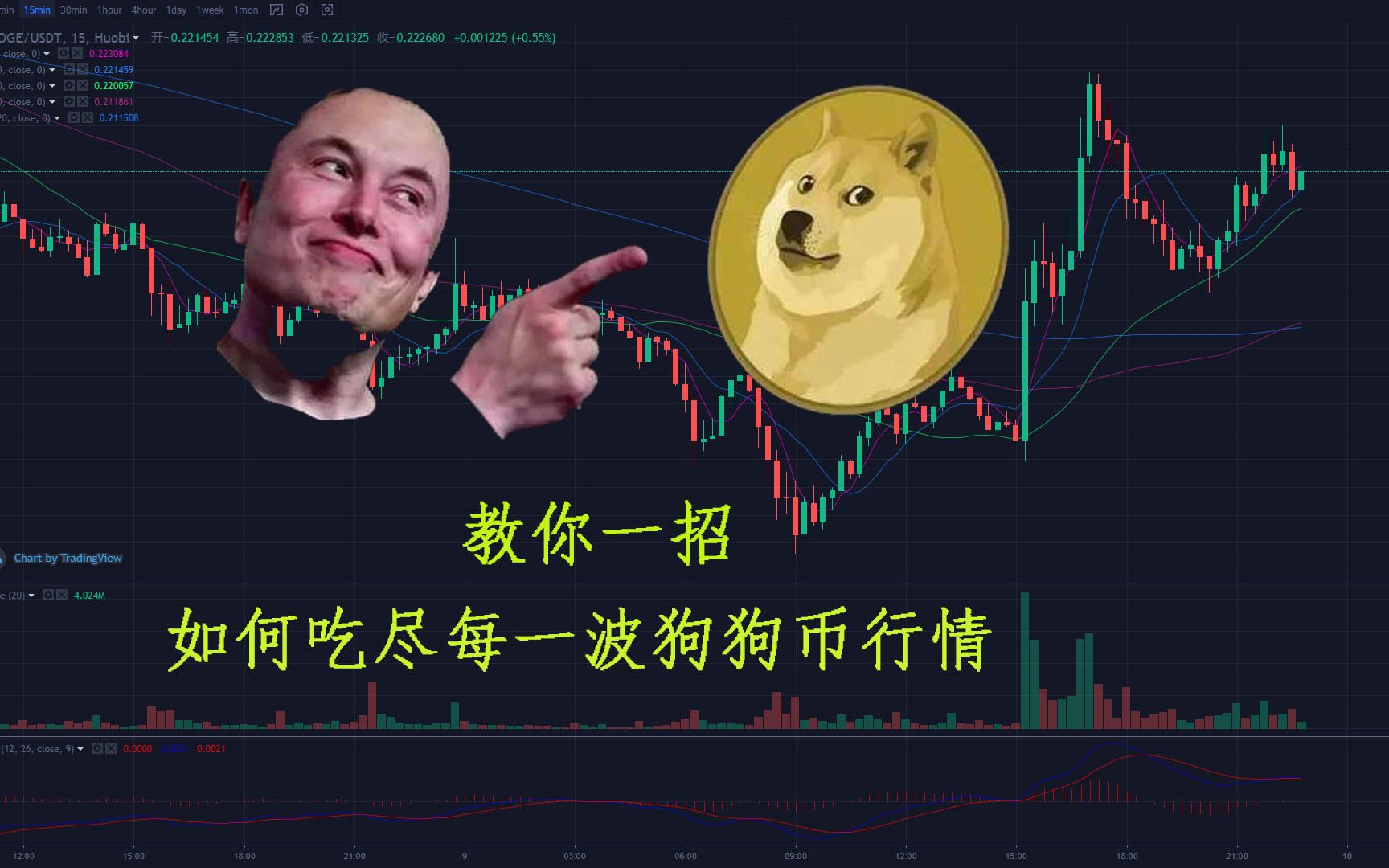 狗狗币价格今日行情_狗狗币价格今日行情l