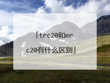 erc20usdt地址查询_通过erc20地址可以找到人吗
