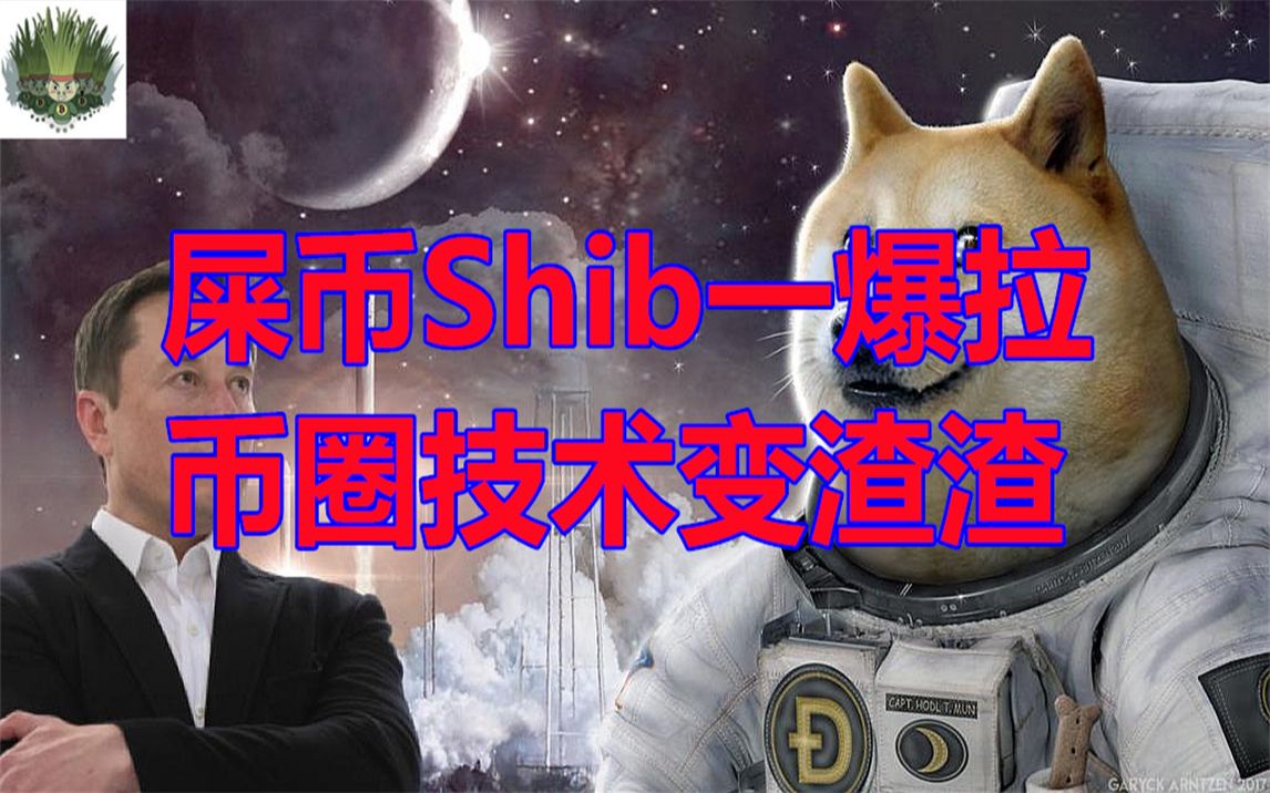 屎币价格_屎币价格趋势