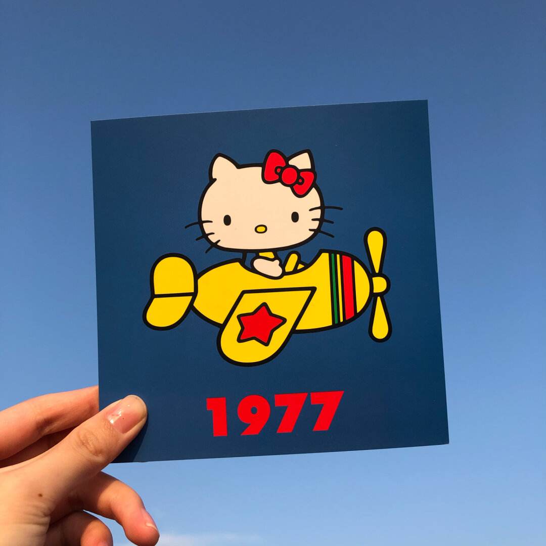 小飞机怎么注册_纸飞机海外账号购买