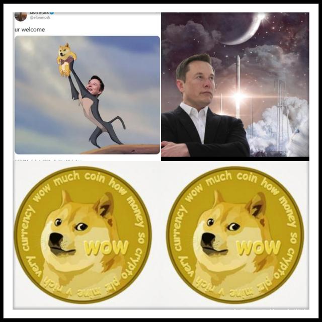狗狗币_狗狗币2025年能涨多少钱