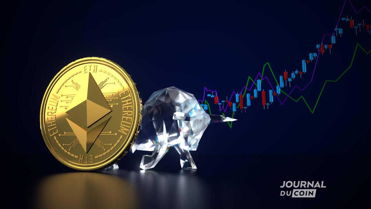 crypto交易所官网中国_cryptokitties交易平台