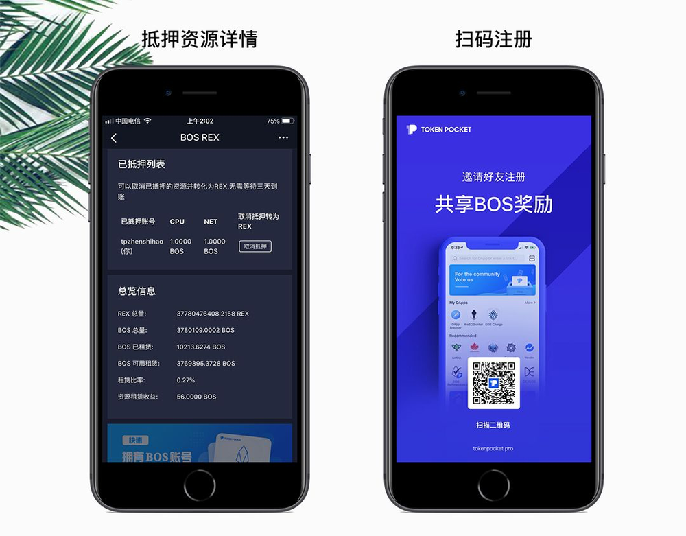 tp钱包官方网站下载_tp钱包官网下载app