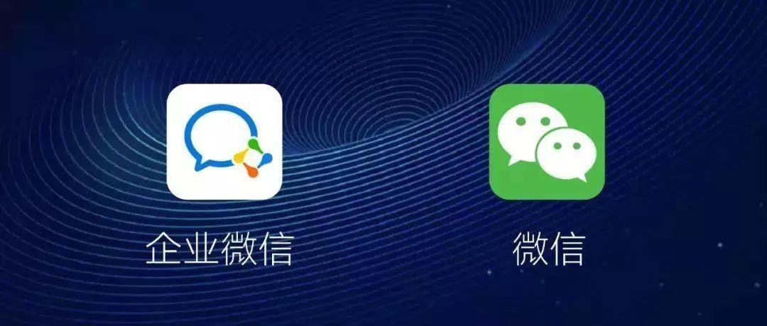 搜索_搜索引擎地址