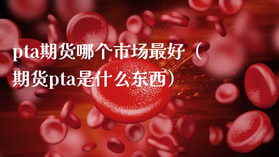 pta在哪个交易所交易、pta交易需要10万资金吗