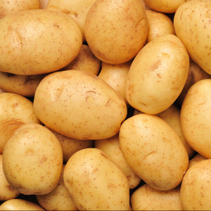 potatocoin、potatocorner中国官网