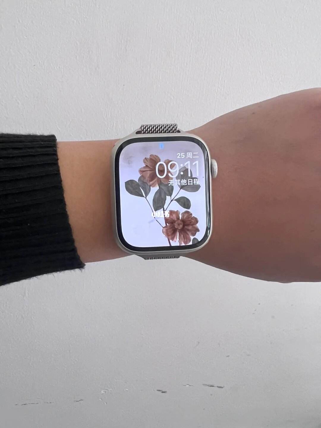 apples8、Apples8和s9的区别