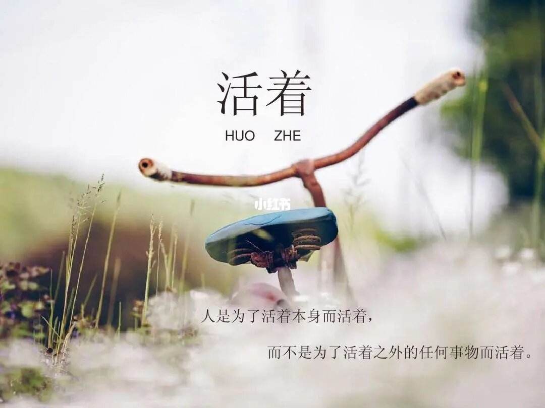 pi币今天一枚多少钱梦见死去的母亲活着回来了的简单介绍