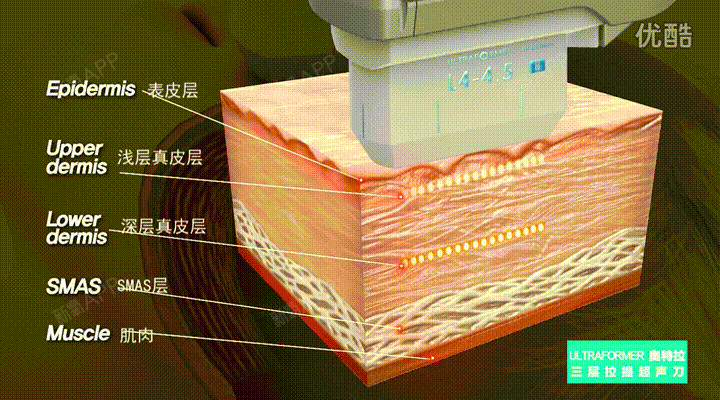 smas币、smart币背后是谁