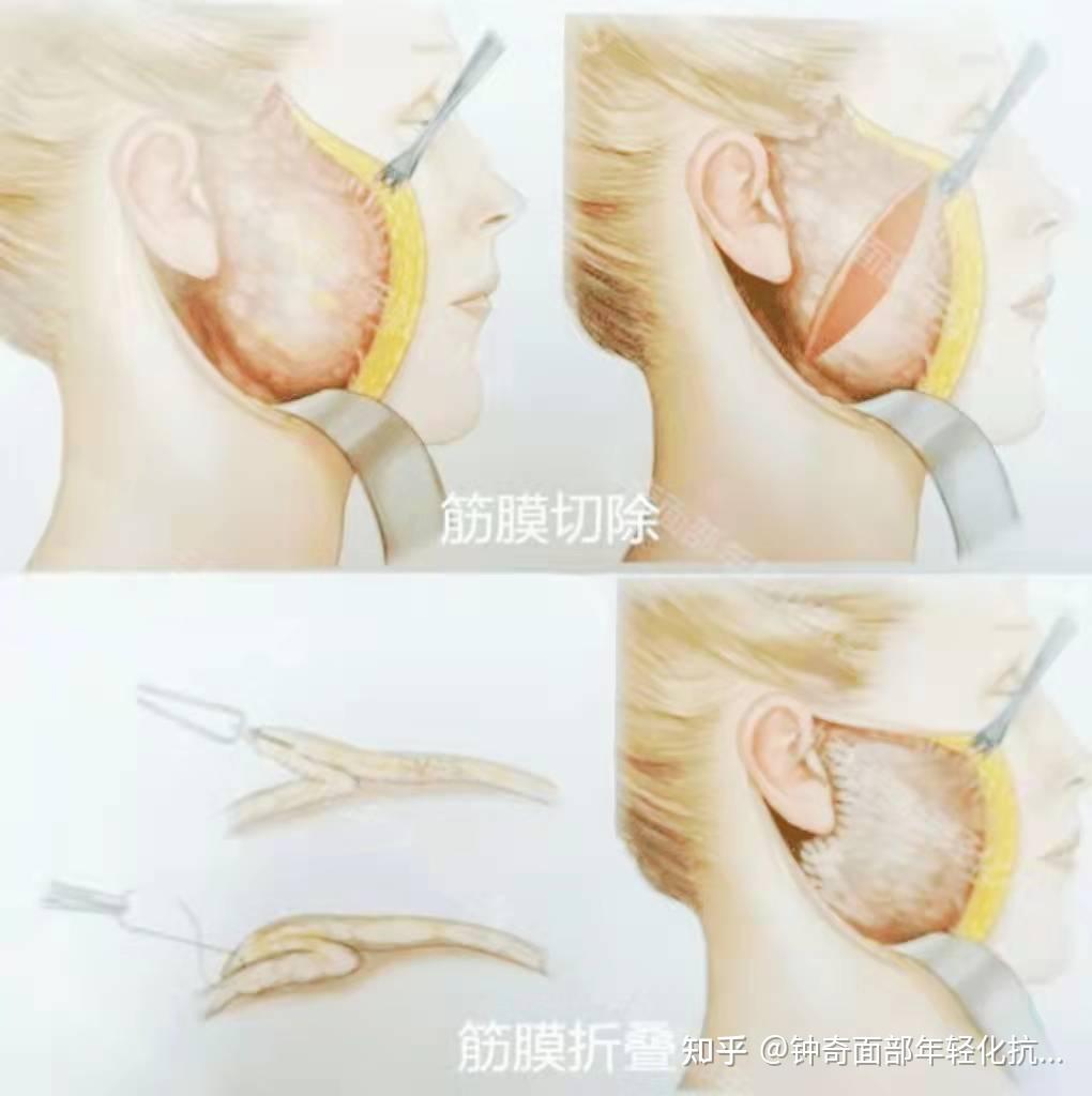 smas币、smart币背后是谁
