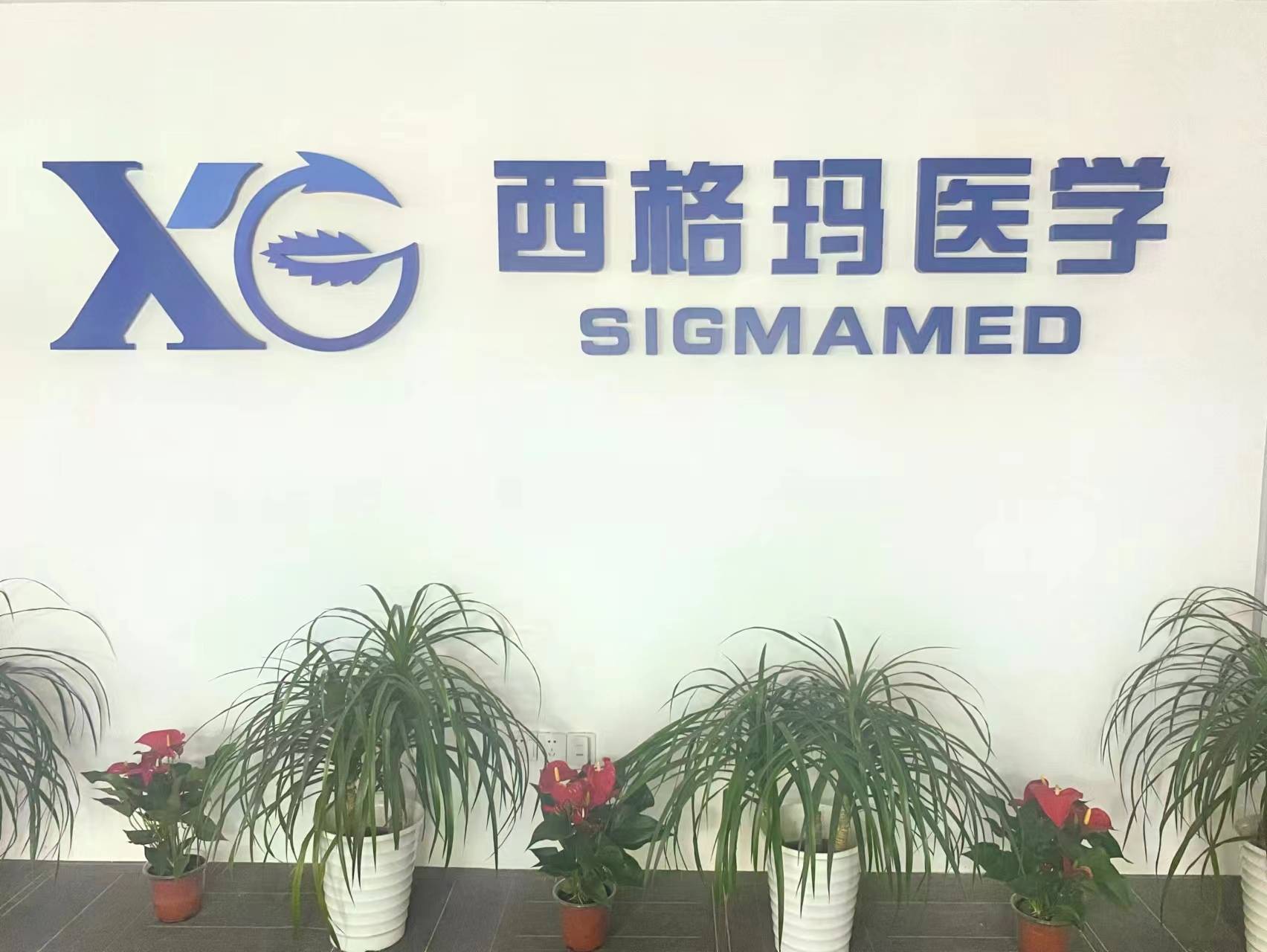 tp钱包转账错误可以找回吗安全吗、tp钱包转账错误可以找回吗安全吗知乎