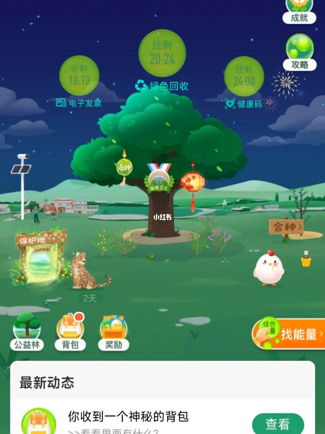 白鲸加速器设备注册账号超出限制、用了蓝鲸加速器还是不能注册ins