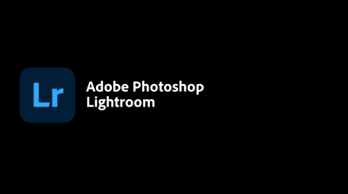 light编辑、light编辑部 阳