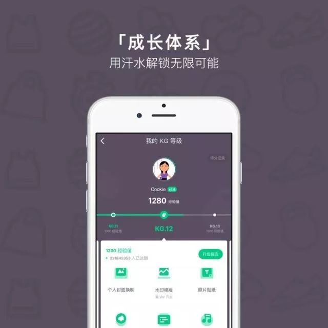 fitfi币怎么样、国家为什么不打击pi币