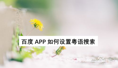 ane交易所app、antcoin交易所