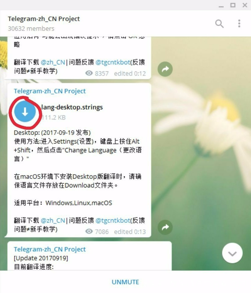 telegeram怎么加入群聊、telegram收不到86短信验证