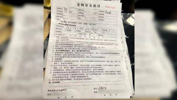 im钱包转账失败币没有了、im钱包eos提不到交易所