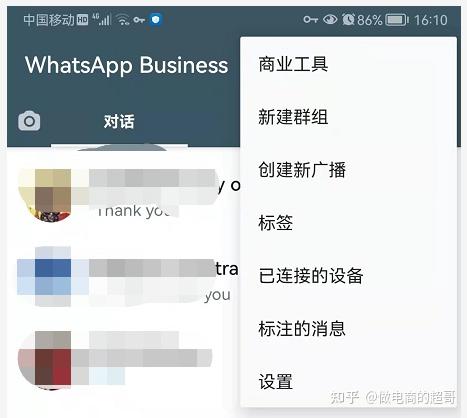 whatsapp聊天软件下载安装、whatsapp app download apk
