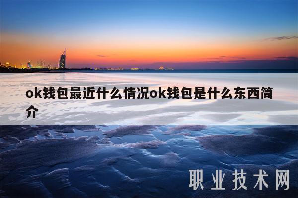 虚拟币okpay钱包、虚拟币okpay钱包app安卓版
