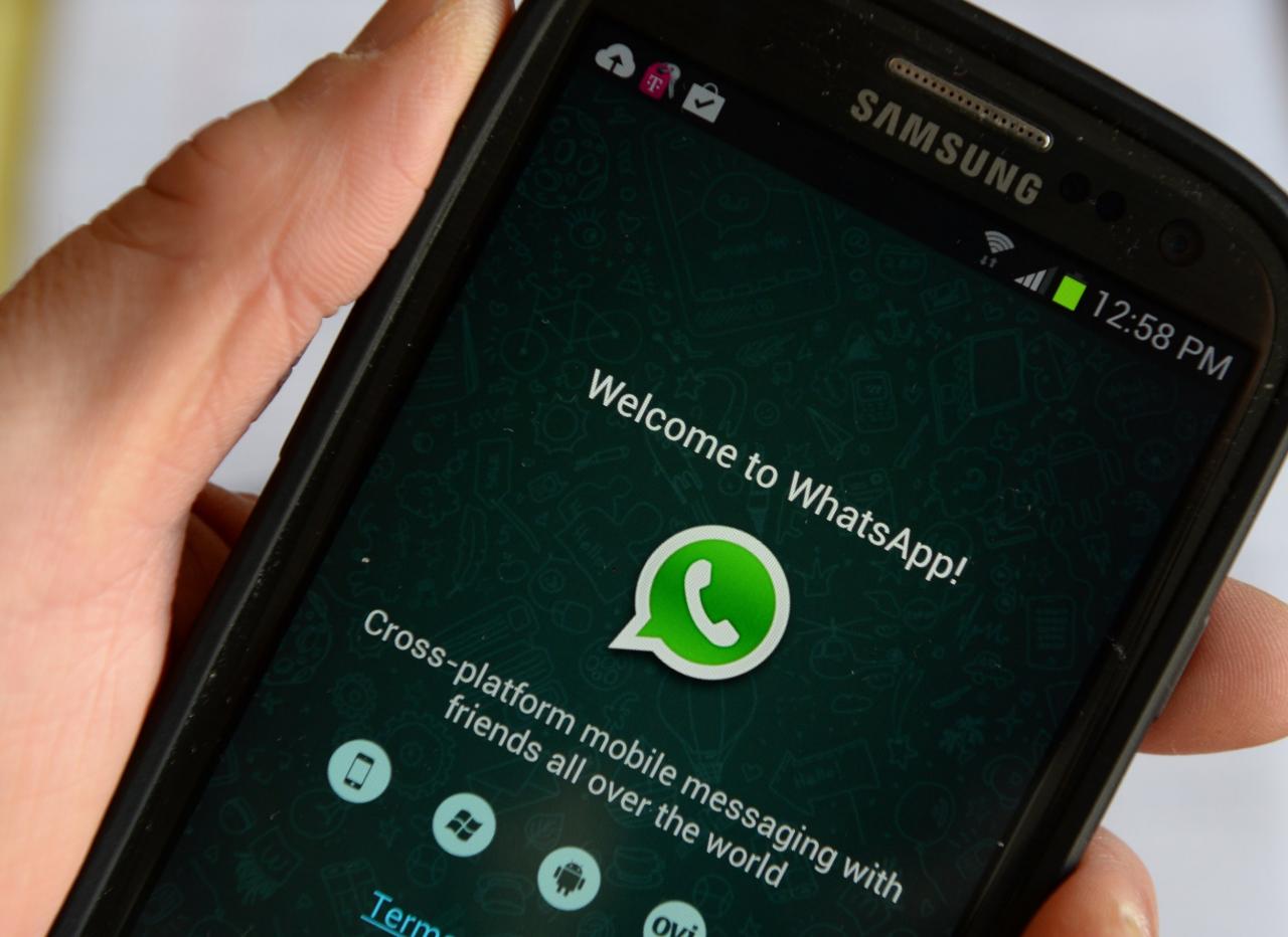 whatsapp手机官方、whatsapp手机官方版