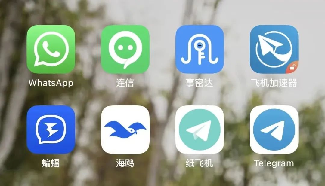纸飞机app、纸飞机app收不到验证码怎么回事