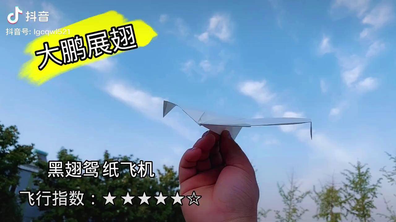 飞得最远的十大纸飞机、飞得最远的十大纸飞机折法