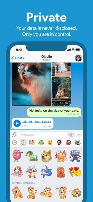 telegreat中文汉化包ios、telegreat中文手机版下载苹果