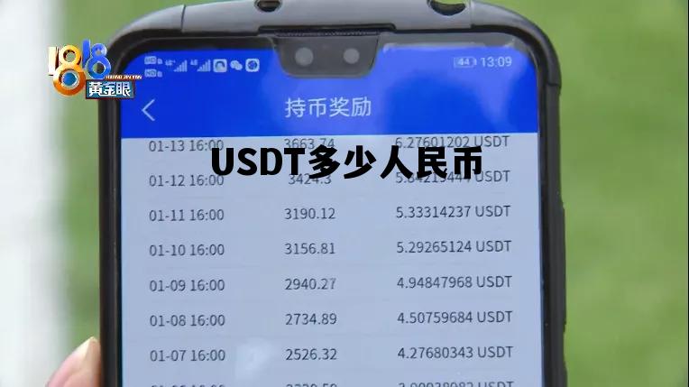 usdt币怎么兑换人民币在国内的简单介绍