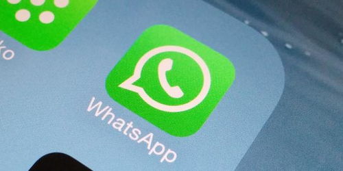 whatsapp下载安卓最新、whatsapp安卓新版免费下载