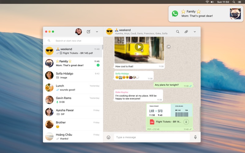 whatsapp官网下载，whatsapp官网下载安卓版