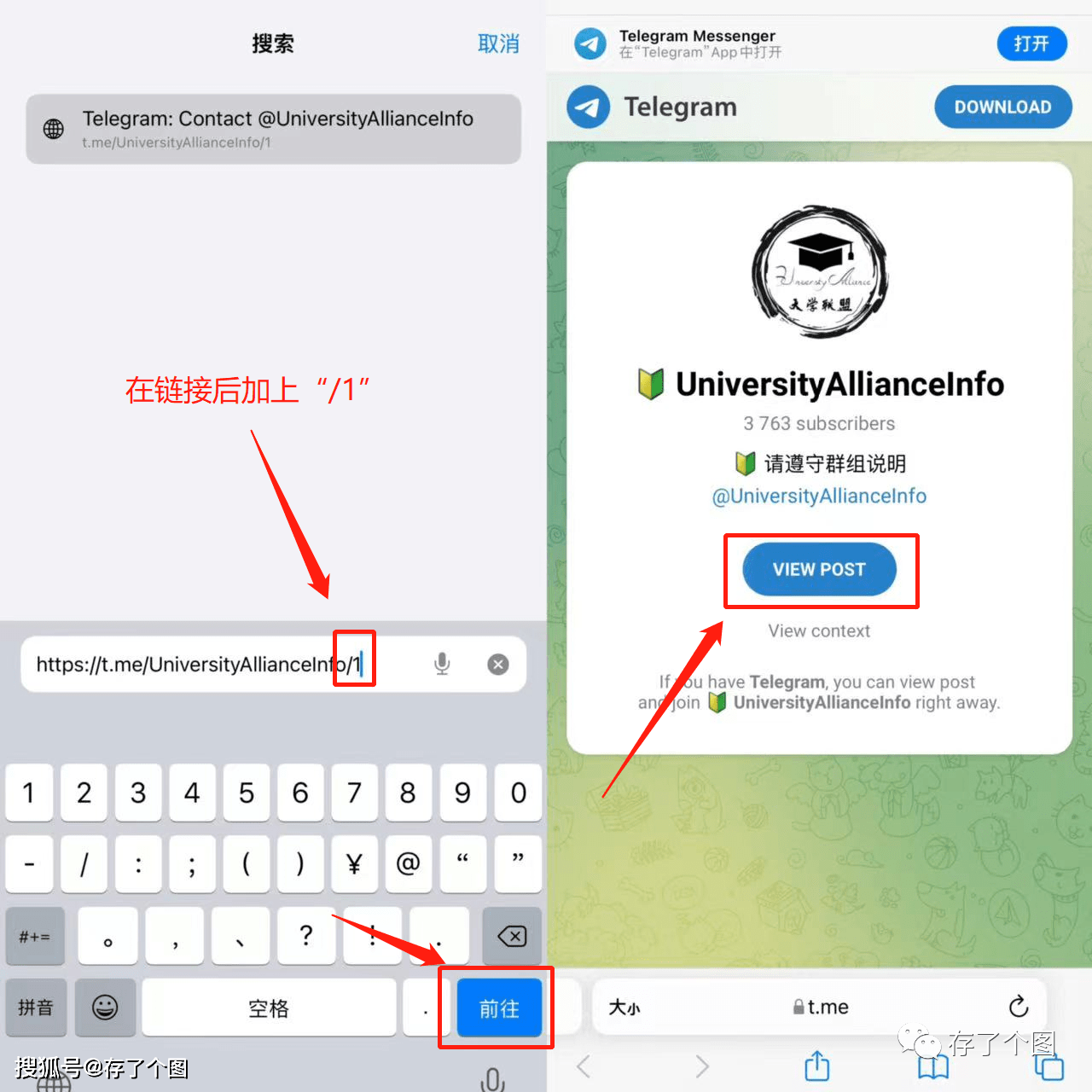 telegeram视频怎么下载下来，telegeram视频下载在哪个文件