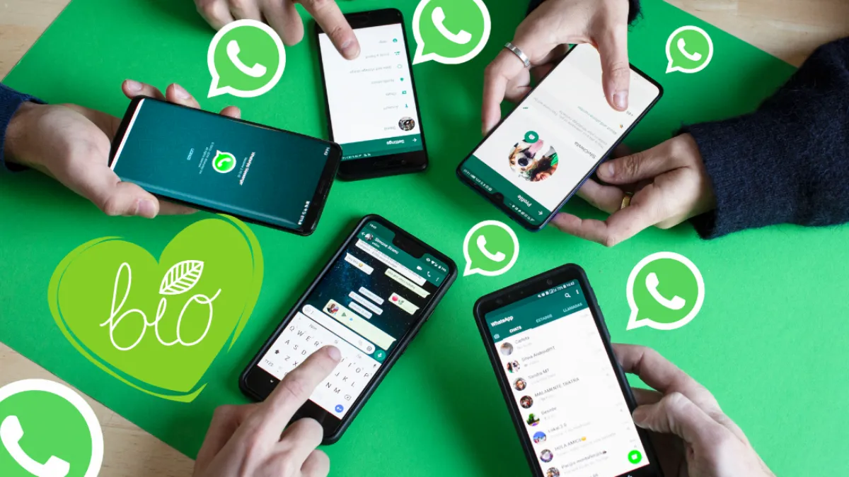 whatsapp网站，whatsapp website