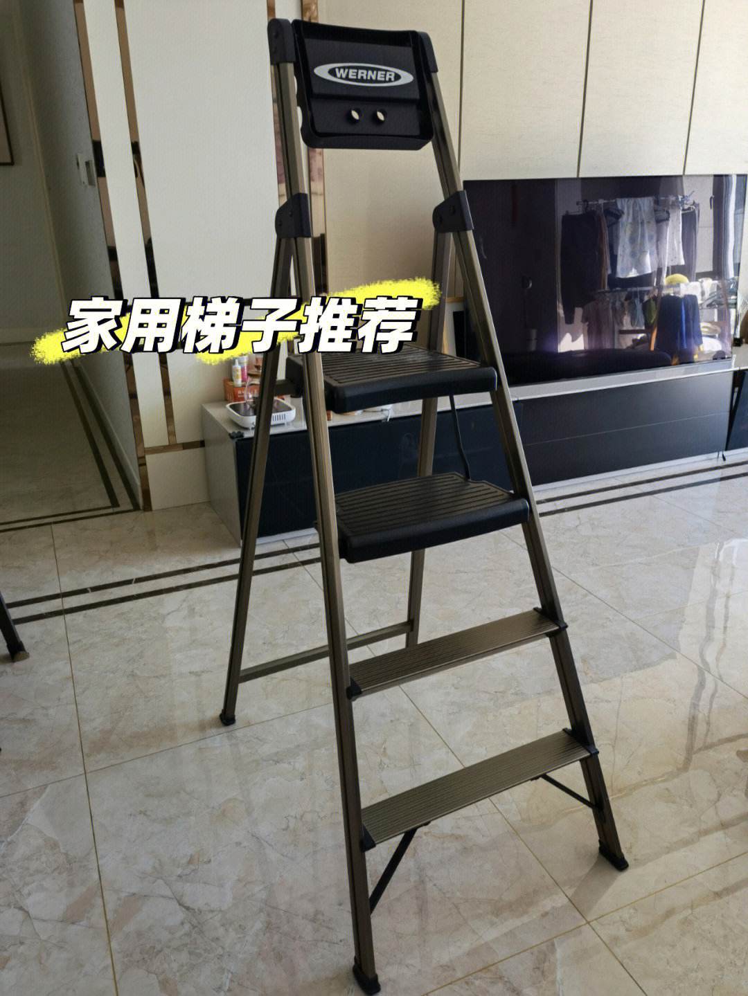 外网梯子推荐，外网梯子推荐一下免费