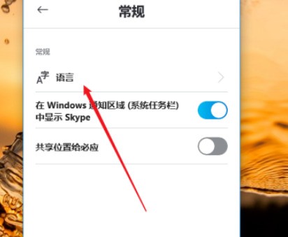 skype怎么打不开怎么回事，skype软件打不开是什么情况